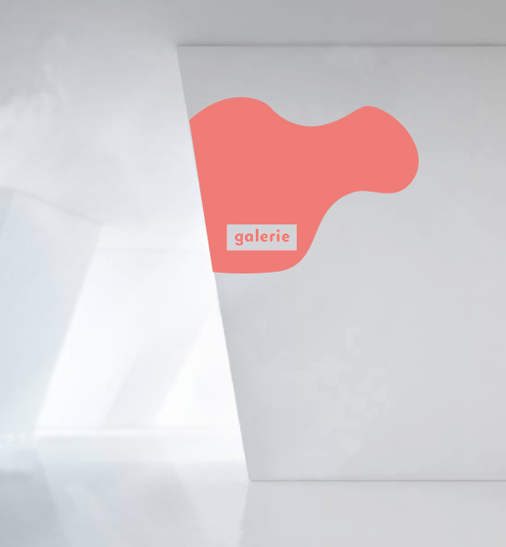 Signalétique logo espace culturel espace legoffic à Pacé