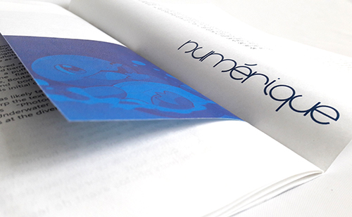 Journal graphique rétine